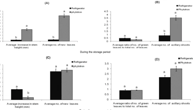 Figure 2. Comparing plantlets of R. pulverulenta conserved in refrigerator and phytotron, showing: A) average increase in stem height (mm) and  average number of leaves during the storage period, B) average ratio of green leaves to total number of leaves a