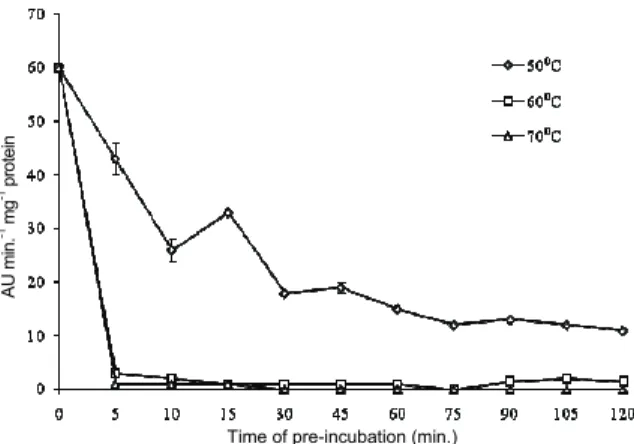 Figure 6. Activity of peroxidase after pre-incubation at 50, 60 and  70ºC in arracacha roots evaluated at pH 6.0 and 30ºC