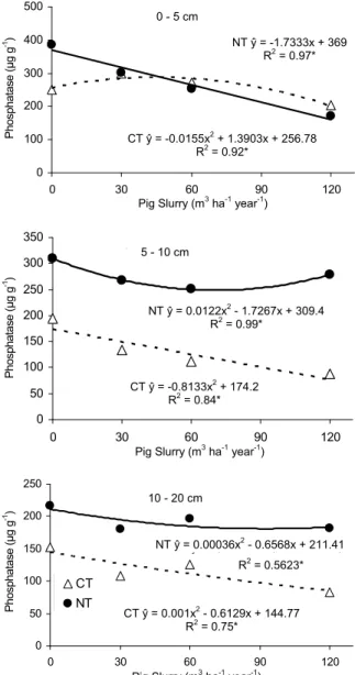 Figure 4. Acid phosphatase activity as affected by the application  of pig slurry under different soil tillage systems