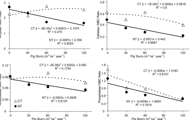 Figure 5. Ratio of soil enzyme activities to microbial biomass carbon (MBC) at the 0-20 depth, as affected by application of pig slurry  doses under different soil tillage systems