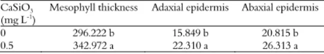 Table 1. Mean values of mesophyll thickness (μm), adaxial  epidermis thickness (μm) and abaxial epidermis thicknesses (μm)  in relation to CaSiO 3  application (mg L -1 ) in a growth chamber  environment for the native orchid species