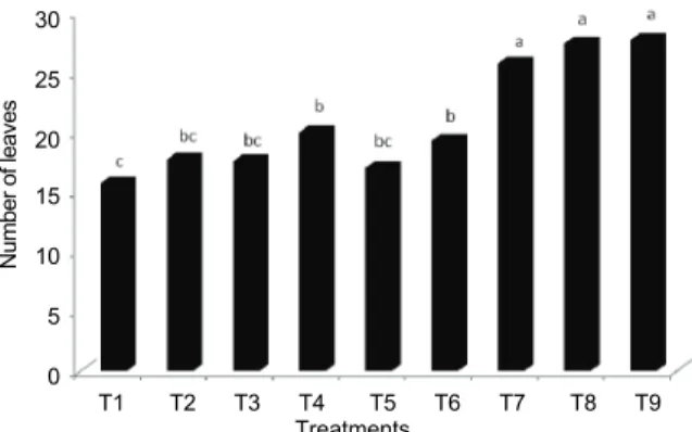 Figure 1. Height of areca palm two years after the beginning of  the trial. Key: T1= no fertilizer (control); T2= EPL 0.1%; T3= 