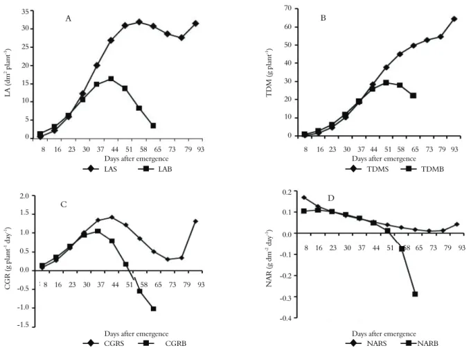 Figure 1.  Evolution according to age in days after emergence (DAE) for A) leaf area (LA in dm 2  plant -1 ), B) total dry mass (TDM in g  plant -1 ), C) crop growth rate (CGR in g plant -1  day -1 ) and D) net assimilation rate (NAR in g dm -2  of leaves 