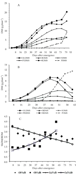 Figure 2. Evolution of the dry mass (DM) of the green leaves  (GLDM), branches (BDM), stems (SDM), petioles (PEDM),  roots (RDM) and pods (PDM) of (A) soybean plants and (B)  common bean plants and (C) the ratio of the shoot dry mass  (ShDM)/root dry mass 