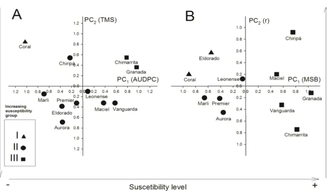 Figure 2. Grouping of the cultivars of peach trees according to susceptibility to leaf rust (Tranzschelia discolor) in the 2007/08 (A) and 2008/09 (B)  growing seasons in an orchard in Curitiba, PR, Brazil