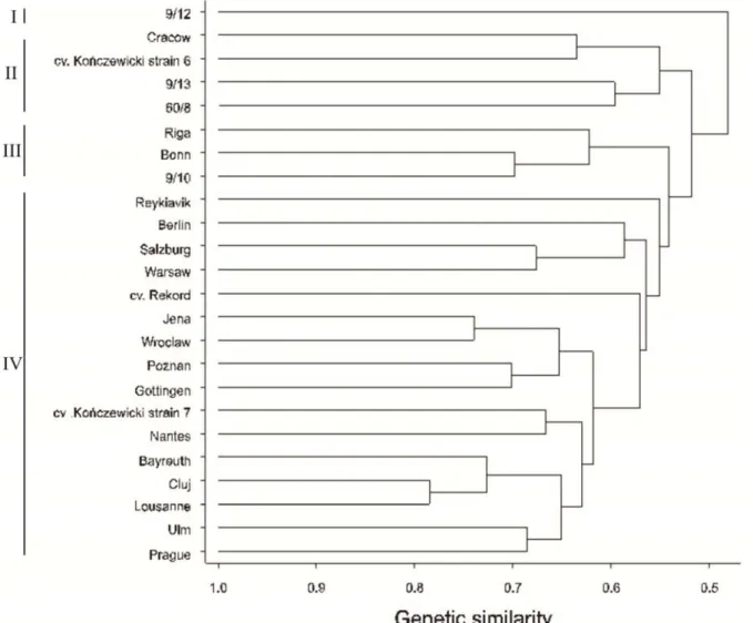 Figure 1. Cluster dendrogram of 24 caraway objects basing on eight RAPD primers (2007-2008)