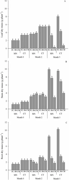 Figure 6. Leaf (A), stem (B) and root (C) dry mass of Mundo  Novo (MN) and Catuaí (CT) cultivars were subjected to the  following three water availability conditions in the substrate: 