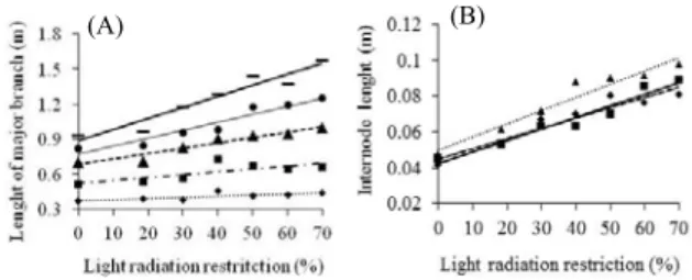 Figure 1. Length of the major branch and length of the major  branch internodes. The following equations were obtained by  regression analysis of benghal dayflower (Commelina benghalensis)  subjected to different levels of artificial light restriction:(A) 