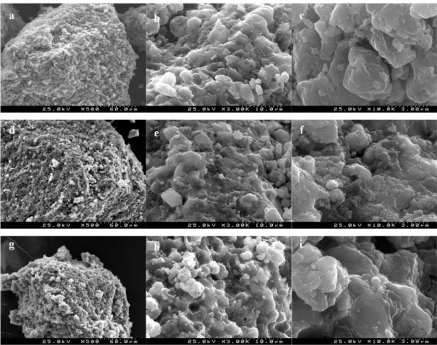 Figure 5. Scanning electron microscopy (SEM) images of MY (a), (b), (c), MY@NIPs (d), (e), (f), and  MY@MIPs (g), (h), (i)