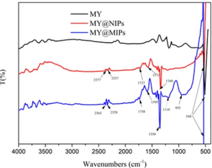 Figure 2. FTIR spectra of magnetic yeast (MY), magnetic yeast-molecularly imprinted polymers  without template (MY@NIPs), and magnetic yeast-molecularly imprinted polymers (MY@MIPs)