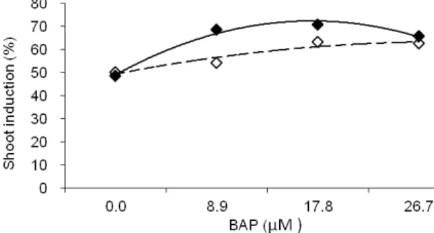 Figure 2. The effect of benzylaminopurine (BAP) on shoot  induction in the sugarcane cultivars RB855156 and RB72454