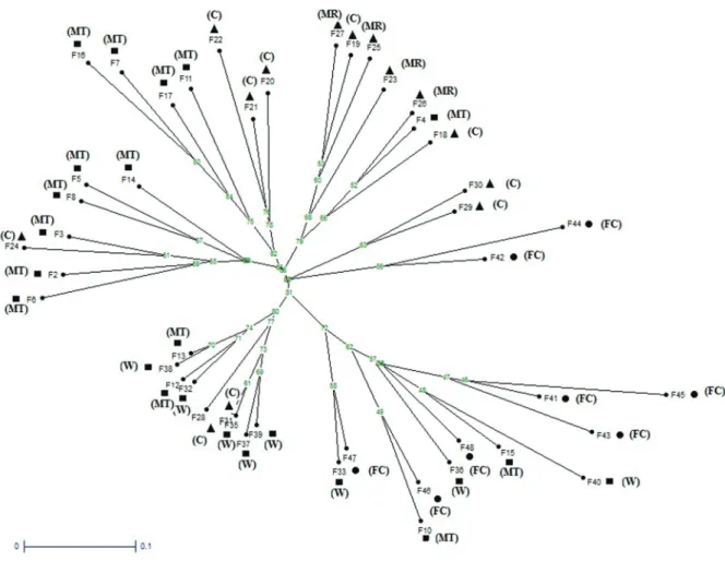 Figure 4. Unrooted neighbor-joining tree of 45 families from different natural provenances of E