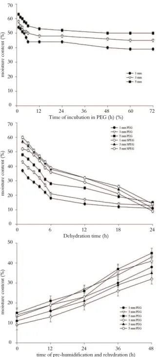Figure 5. Desiccation tolerance and living cells from 1, 3 and 5- 5-mm-long radicles of germinated Sesbania virgata seeds after PEG  treatment, dehydration in silica and pre-humidification