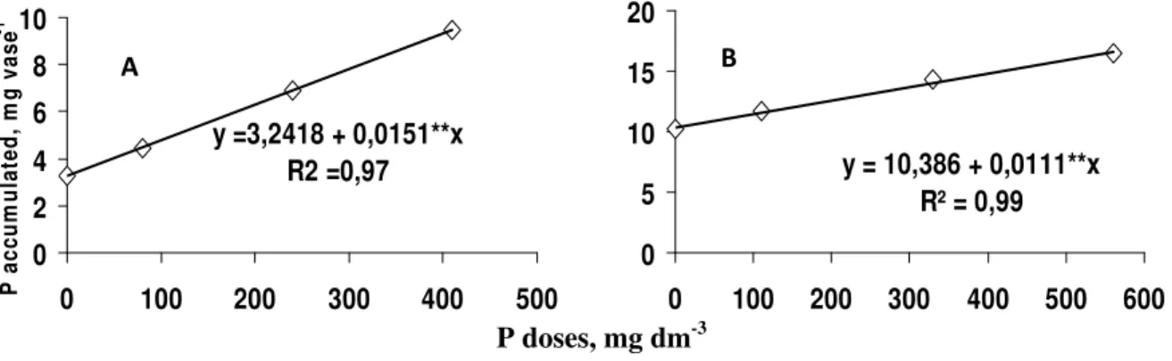 Figure 2. Phosphorous accumulated in aerial part of bean plants, as a function of the P doses applied in the RQo (A) and LVdf (B) soils