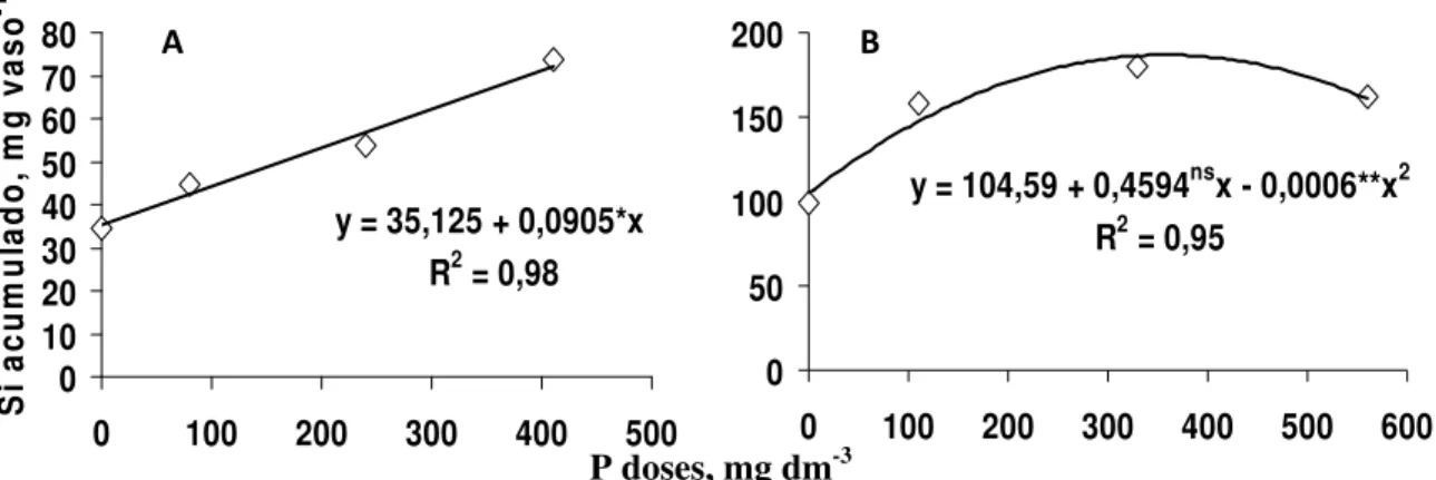 Figure 3. Silicon accumulated in aerial part of bean plants, as a function of the P doses applied  in the RQo (A) and LVdf (B) soils