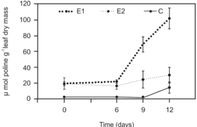 Figure 1. (A) Southern blot analysis. lane c: non-transformed  control; lanes 1–4: P5CS129A transgenic events