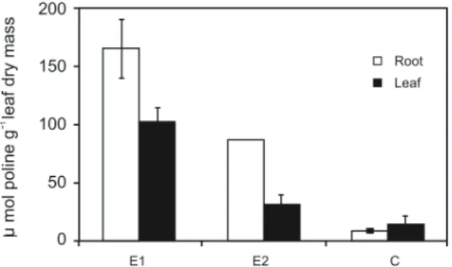 Figure 3. Proline accumulation in roots (□) and leaves (■) of  VaP5CS129A transgenic events (E1 and E2) and control plants at  the end of the experiment (12 days of water with holding)