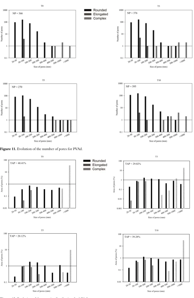 Figure 12. Evolution of the porosity distribution for NVef. 