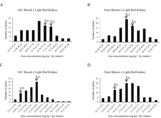 Figure 1. Frequency distribution of the F 2  plants that were obtained from the cross IAC Boreal × Light Red Kidney for iron (A) and zinc  (C) concentrations and cross Ouro Branco × Light Red Kidney for iron (B) and zinc (D) concentrations in common bean s