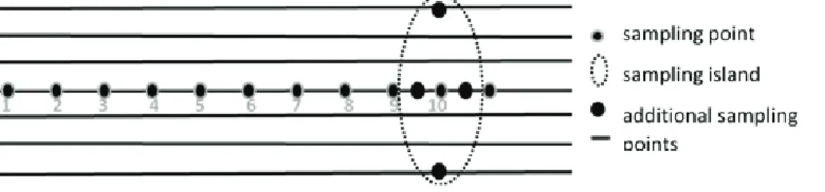 Figure 1. Sampling plan with islands in each 10 points. 