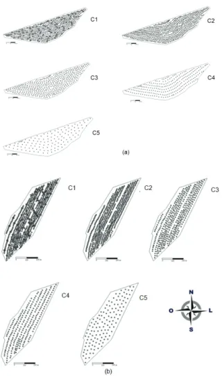 Figure 2. Sampling points in area 1 (a) and area 2 (b) with the  different sample densities (scenarios C1 to C5)