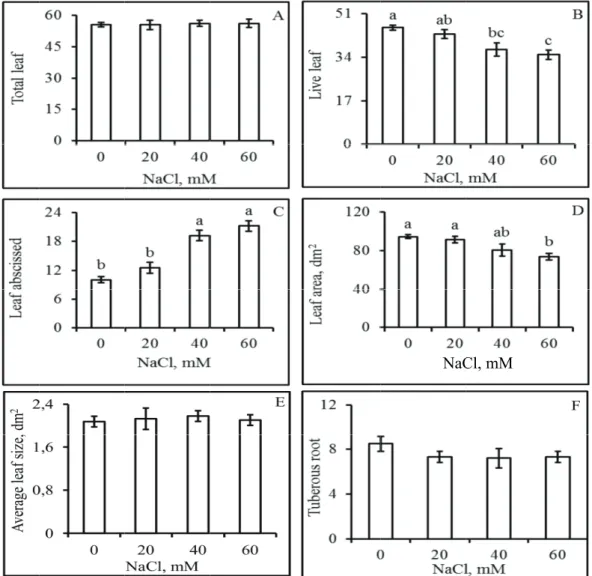 Figure 2. Total n leaves (B), the nu grown under diff are not significant