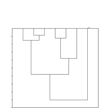 Figure 1. A hierarchical clustering dendrogram for the soil  chemical attributes (mean values obtained among the three  depths 0.00-0.05 m, 0.05-0.10 m, and 0.10-0.30 m) in  monospecific plantations of Acacia mangium,  Dipteryx odorata,  Jacaranda copaia, 