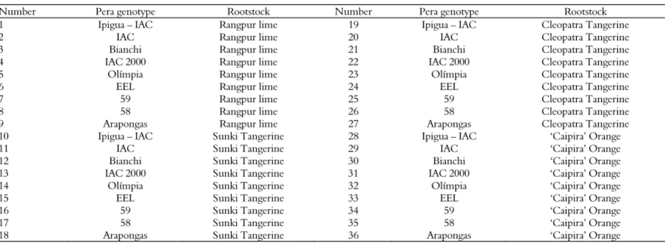 Table 1. Pera sweet orange genotypes grafted on rootstocks of Rangpur Lime, Sunki Tangerine, Cleopatra Tangerine and ‘Caipira’ Orange