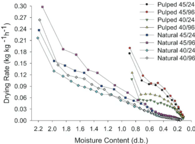 Figure 2 shows the drying rates as a function of  the moisture content in the fruits of natural and  parchment (pulped) coffees subjected to complete  drying in a mechanical dryer