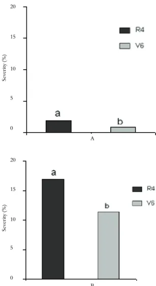 Figure 1. Average soybean rust severity for the 4, 5 and 6th  trifoliates at 7 (A) and 13 (B) days after inoculation in soybean  plants inoculated at stages R4 (black bars) and V6 (gray bars) in  Study 1