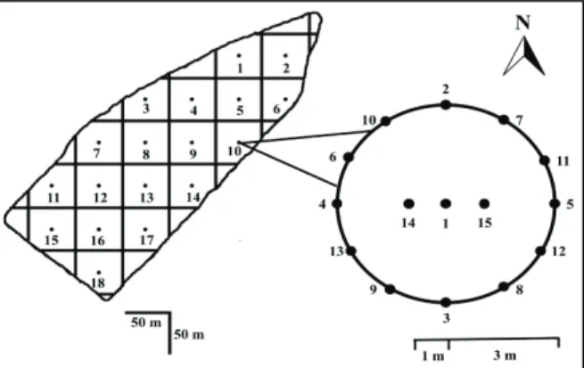 Figure 1. Schematic representation of the sampling grid (50 x 50  m) used in this study area highlighting the distribution of the 15  subsamples of soil penetration resistance in each sampling point  in Palmeira das Missões (RS), southern Brazil