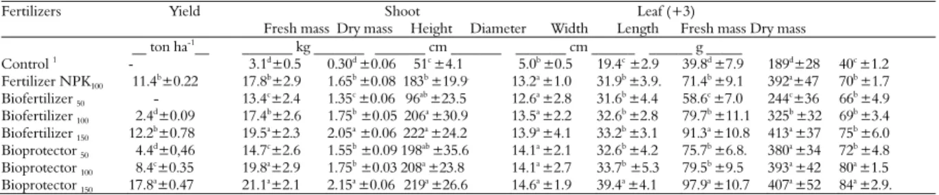 Table 3. Yield and characteristics of shoots and leaves (+3) of banana (cv. Williams) grown in an Argisoil and submitted to different  fertilizer treatments