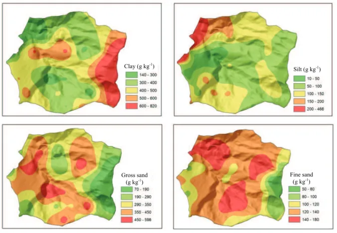 Figure 4. Spatialization of soil surface texture in the Yung sub-basin, Juiz de Fora, Minas Gerais State