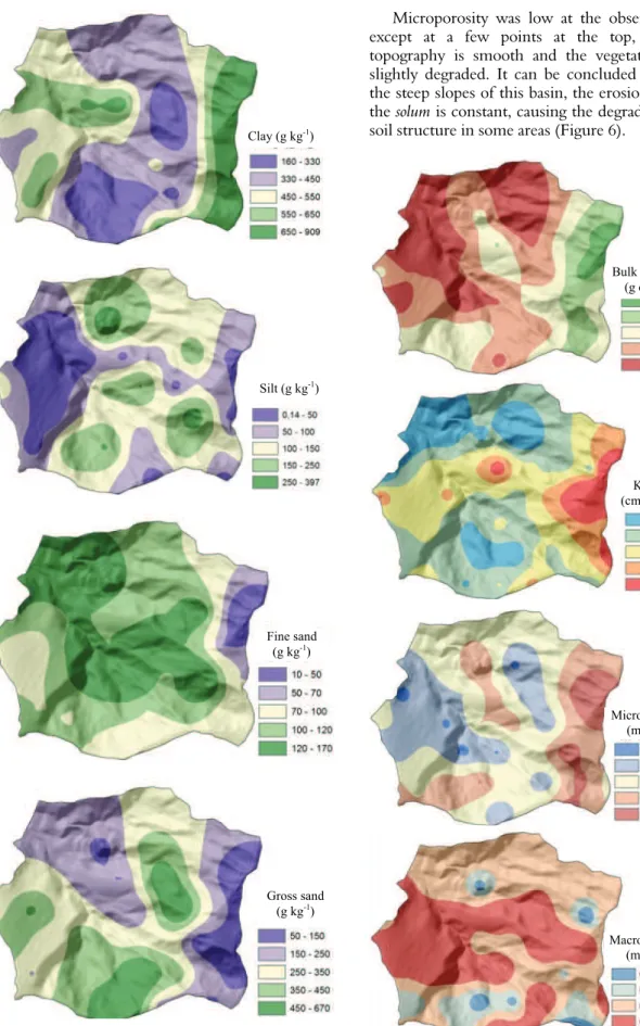 Figure 5. Spatialization of the soil texture in deeper layers in the  Yung sub-basin, Juiz de Fora, Minas Gerais State