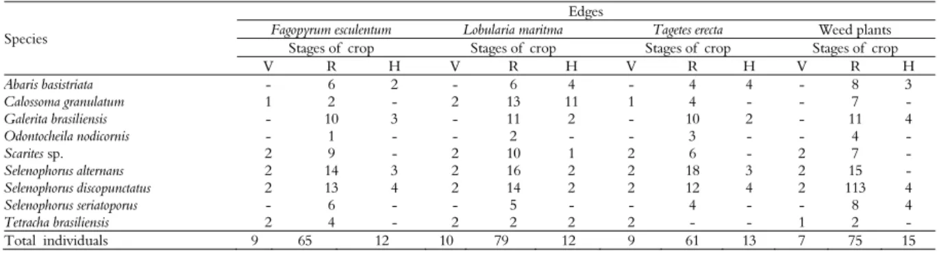 Table 1.  Total number of specimens dissected of Carabidae species associated with Flowering Herbaceous Plants (FHP) during the  phenological periods of cotton cv