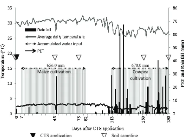 Figure 1. Climatic data during the experiment with maize and  cowpea cultivation (CTS application, soil sampling, input of  water)