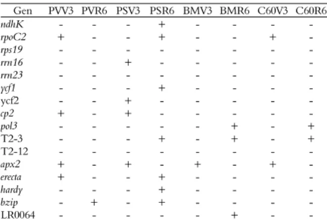 Table 4. Differential gene expressions in the 20% water regimen.  