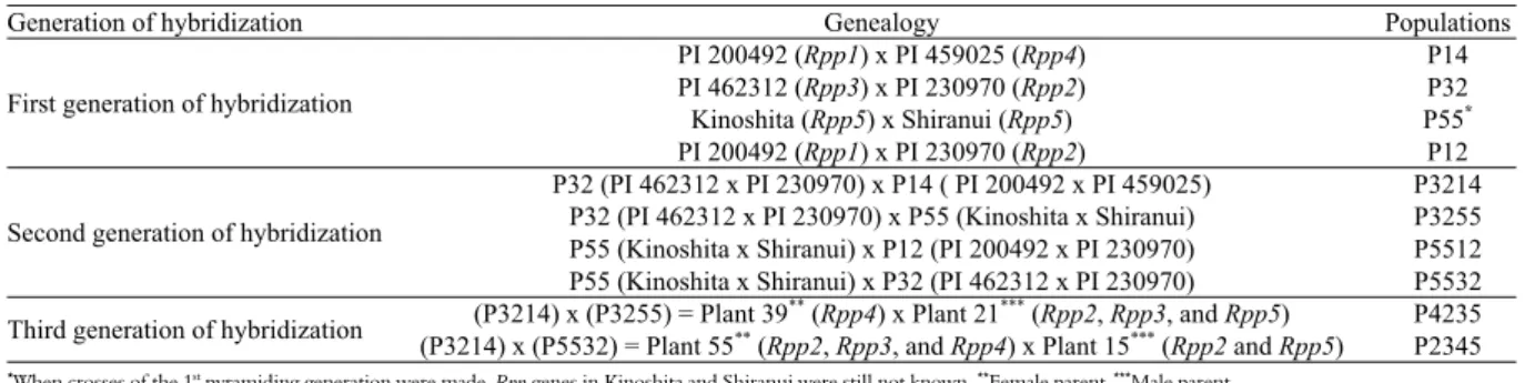 Table 1. Crosses made for ASR resistance gene pyramiding, in the three pyramiding generations