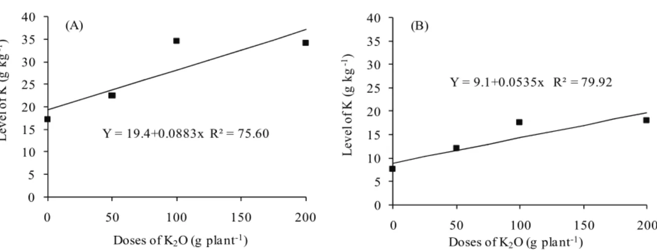 Figure 4. Levels of K in cladodes of H. undatus and H. polyrhizus as a function of the dose of K 2 O applied to the soil in September 2014  (A) and September 2015 (B).