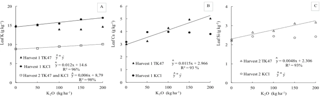 Figure 3. Effects of K levels and sources on leaf concentrations of K, Ca, and Si for sugarcane variety SP832847, 2011/12 and 2012/13  crops (Usina Vale do São Simão, Chaveslandia, Minas Gerais State, Brazil)