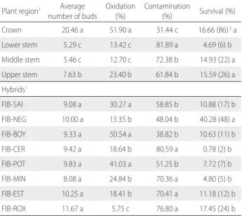 Table 2 .  Average number of buds and percentages of oxidized, contaminated  and surviving buds obtained from different regions of the plant after in vitro  establishment of pineapple hybrids bred for fiber content [FIB-SAI (A