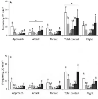 Figure 1. Number of aggressive interactions by the A larva (higher aggressive  level in each replicate) at each time point in the homogeneous size (A) and  heterogeneous size (B) treatments
