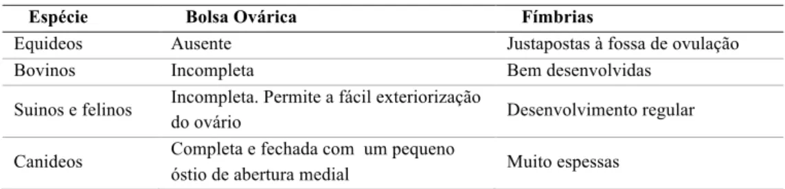 Tabela 1. Desenvolvimento da bolsa ovárica e fimbrias nas diferentes espécies animais