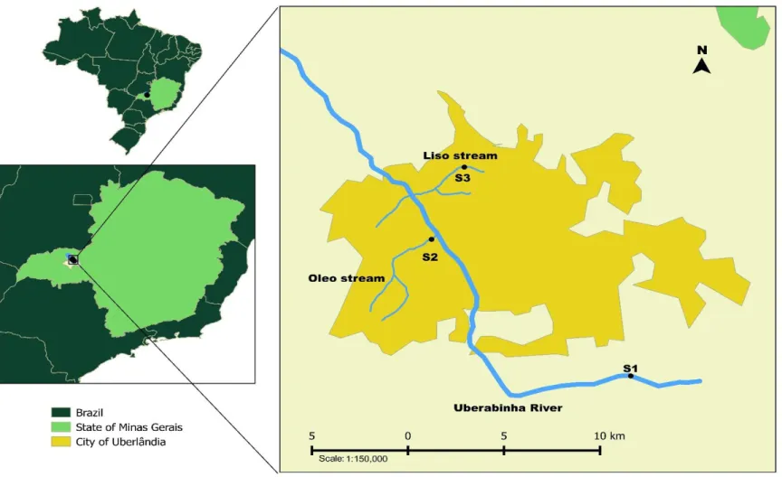 Fig. 1 Location of the sites assessed (Site 1, Site 2 and Site 3) in the Paranaíba River basin, Uberlândia, MG