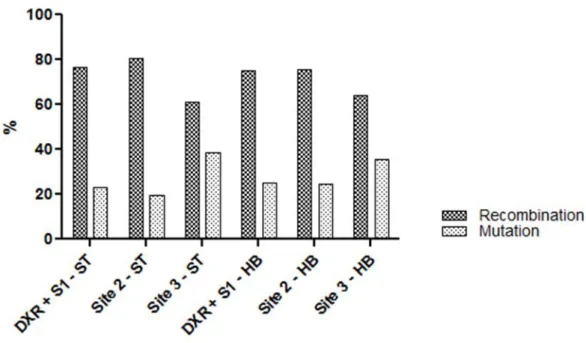 Fig.  2.  Comparison  of  recombinogenic  and  mutagenic  events  obtained  of  clone- clone-induction  frequencies in  standard  (ST)  and  high  bioactivation  (HB)  crosses.