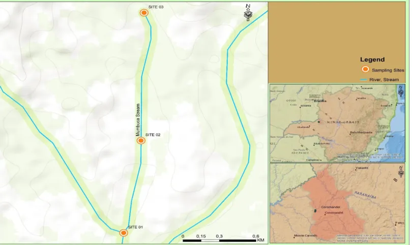 Fig. 1 Location of the sites assessed (Site 1, Site 2 and Site 3) in the Mumbuca stream, Monte Carmelo, MG.