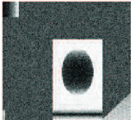 Figura 3.2: Problema de Elimina¸c˜ao de Ru´ıdo 2. Imagens retiradas de [13]