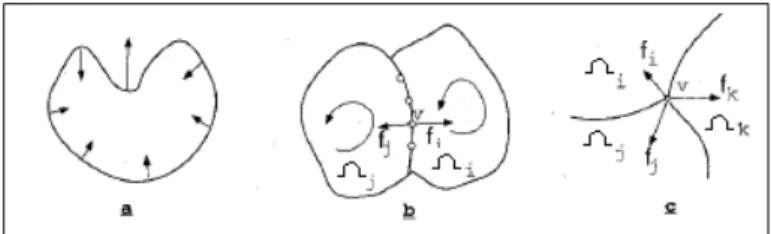 Figura 3.3: For¸cas agindo no contorno: (a) For¸ca de suaviza¸c˜ao (b) For¸ca estat´ıstica em um ponto de fronteira (c) For¸ca estat´ıstica em um ponto de jun¸c˜ao de regi˜oes.