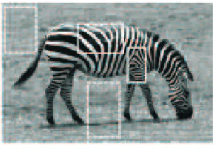 Figura 3.5: Problema de Segmenta¸c˜ao 1. Imagens retiradas de [27].