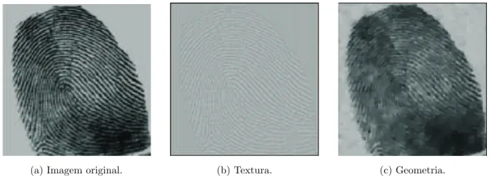 Figura 3.14: Problema de decomposi¸c˜ao em geometria e textura 2. Imagens retiradas de [34].